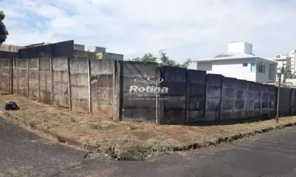 Terreno para alugar, Vigilato Pereira - Uberlândia/MG - Rotina Imobiliária