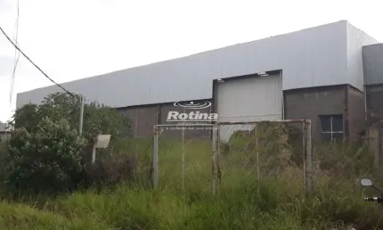 Galpão para alugar, Distrito Industrial - Uberlândia/MG - Rotina Imobiliária