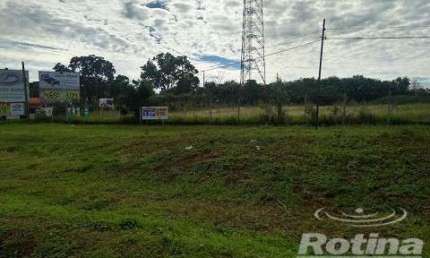 Área para alugar, Zona Rural - Uberlândia/MG - Rotina Imobiliária