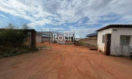 Galpão para alugar, Distrito Industrial - Uberlândia/MG - Rotina Imobiliária