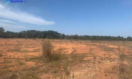 Área à venda, 65.000 m² por R$ 1.500.000 - Saída de Rondonópolis/MT