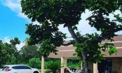Casa com 4 dormitórios à venda, 490 m² por R$ 1.250.000,00 - Manso - Chapada dos Guimarães/MT