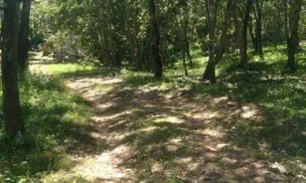 Chácara à venda, 15000 m² por R$ 300.000,00 - Zona Rural - Cuiabá/MT