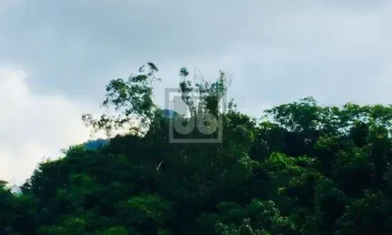 Casa com 5 quartos à venda na Rua Alice, Laranjeiras, Rio de Janeiro, 286 m2 por R$ 2.900.000
