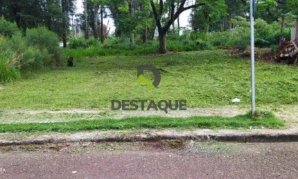 Terreno à venda no Morumbi, Cascavel 