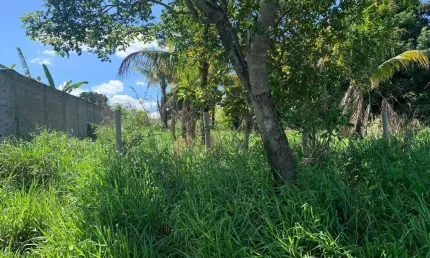 Lote / Terreno em Parque Hayala  -  Aparecida de Goiânia