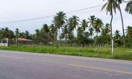 Terreno comercial à venda no Centro, Barra dos Coqueiros 