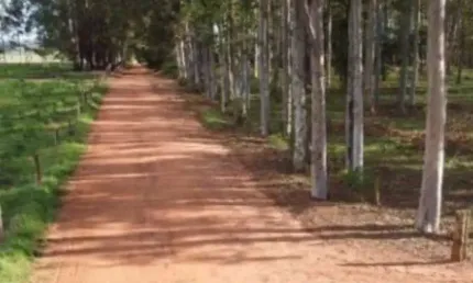 Gleba para venda em cianorte, área rural de cianorte