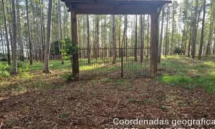 Gleba para venda em cianorte, área rural de cianorte