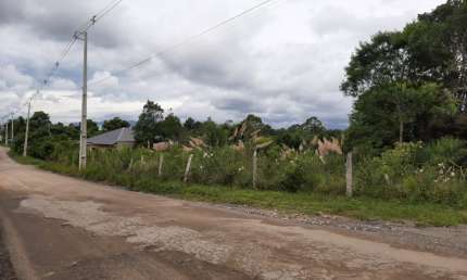 GRANDE ÁREA - BORDA DO CAMPO - SÃO JOSÉ DOS PINHAIS