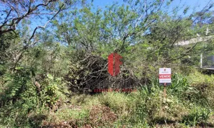 Terreno à venda, 360 m² por R$ 73.000,00 - Balneário Pinus Park - Arroio do Sal/RS