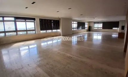 Apartamento com 4 quartos à venda na Rua Pirapetinga, Serra, Belo Horizonte