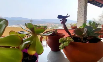 Chácara / sítio com 4 quartos à venda na Rua Cravínias, 645, Jardim Estância Brasil, Atibaia