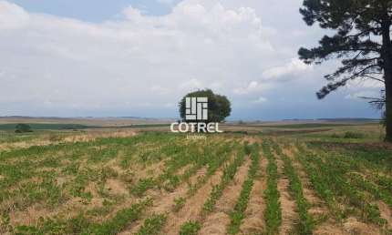 Terreno comercial à venda na 200, 200, Área Rural de São Gabriel, São Gabriel