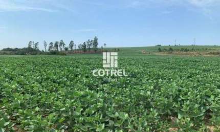 Terreno comercial à venda na 4, 94, Zona Rural, São Pedro do Sul