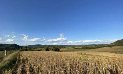 Campo para à venda com 28,54 hectares localizado em São Martinho da Serra/RS