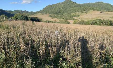 Terreno comercial à venda na 176, 176, Zona Rural, São Pedro do Sul