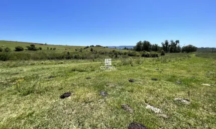 Campo para venda no distrito de Arroio do Só com 17,5 hectares