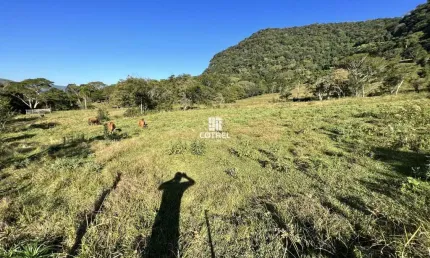 Chácara com 3.5 hectares para venda no distrito de arroio grande em santa maria/