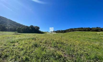 Chácara 16 Hectares para venda localizada na Estrada Valfetrina no Município de