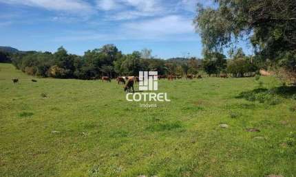 Campo para venda com 34 hectares a 18 km de Santa Maria/RS