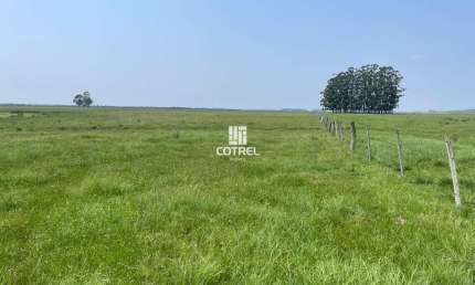 Fazenda para venda com 217 ha localizada na cidade de Sant'Ana do Livramento/RS.