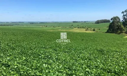 Chácara / sítio à venda na Boa Vista Do Incra, Boa vista , Zona Rural, Boa Vista do Incra