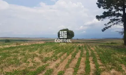 Chácara / sítio à venda na 200, 200, Área Rural de São Gabriel, São Gabriel