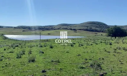 Campo para venda em rosário do sul com 342 hectares