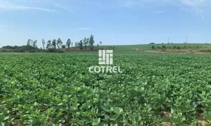 Chácara / sítio à venda na 4, 94, Zona Rural, São Pedro do Sul
