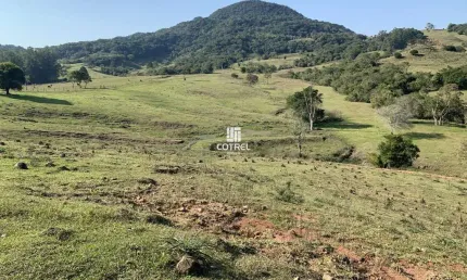 Chácara / sítio à venda na Zona Rural, 01, Zona Rural, Dona Francisca