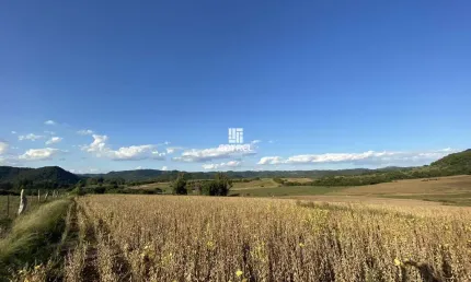 Campo para à venda com 28,54 hectares localizado em são martinho da serra/rs