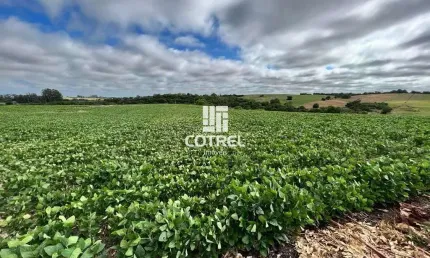 Campo para venda com 86 hectares localizado em caçapava do sul/rs.