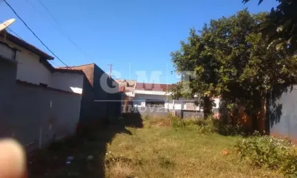 Terreno  - ribeirão preto - campos elíseos - região norte