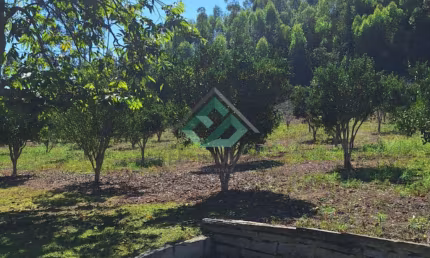 Chácara para venda possui 20.000m² em Alto Caxixe - Venda Nova do Imigrante - ES