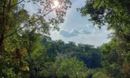 SITIO PARA VENDA NO TARUMÃ AÇU PRÓXIMO AO HOPE BAY PARK