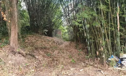 Terreno à venda na Rua Visconde de Morais, Ingá, Niterói