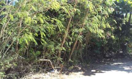Terreno à venda na Rua Samuel Wainer Filho, Itaipu, Niterói
