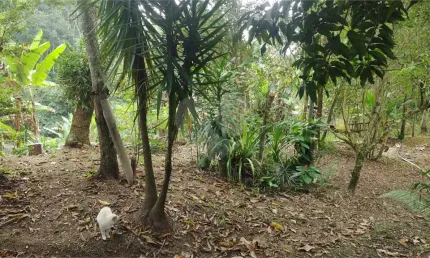 Terreno à venda na Estrada Caetano Monteiro, Badu, Niterói