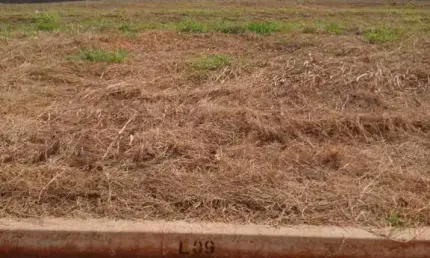 Terreno para Venda em Nova Odessa, Parque Fortaleza