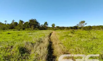 Terreno à venda na Rua Quinze de Novembro, 504, Vila Nova, Joinville