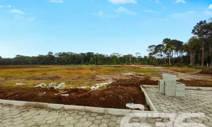 Terreno à venda na Rua Lagoa, Praia do Ervino, São Francisco do Sul