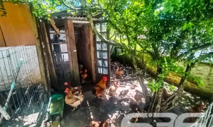 Casa com 4 quartos à venda na Rua Fátima, 207, Jarivatuba, Joinville