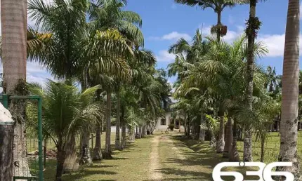 Chácara / sítio com 5 quartos à venda na Estrada Caminho Curto, Rio Bonito (Pirabeiraba), Joinville