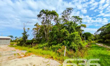 Terreno à venda na Rua Checoslováquia, Praia do Ervino, São Francisco do Sul