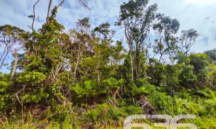 Terreno à venda na Rua Checoslováquia, Praia do Ervino, São Francisco do Sul