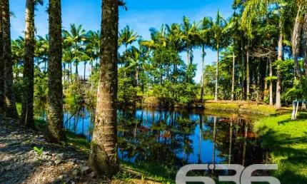 Chácara / sítio com 2 quartos à venda na Perequê, 871, Pinheiros, Balneário Barra do Sul