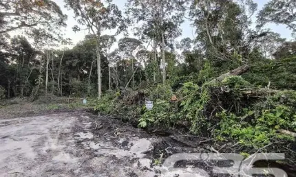 Terreno à venda na Nereu Ramos, Salinas, Balneário Barra do Sul