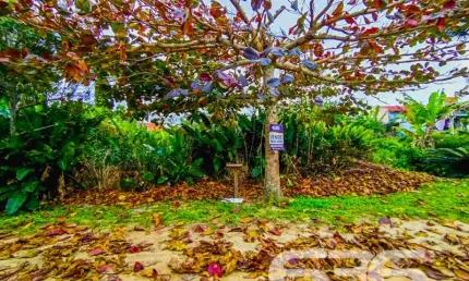 Terreno à venda na Rua Rua 16, Praia do Ervino, São Francisco do Sul