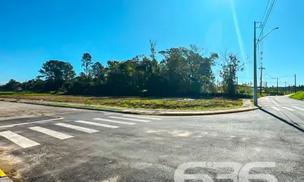 Terreno à venda na Rua Celestino Estácio Da Maia, Centro, Araquari